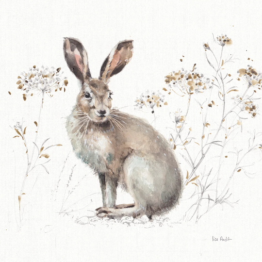 A Woodland Walk XIII