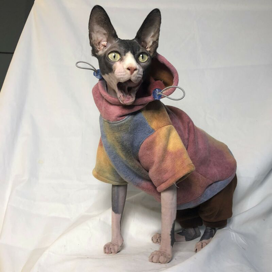 Pet cats and dogs autumn and winter padded warm thick clothing tie-dye hooded sweatshirt British short hairless cat Devon l (chest 48', neck 23',