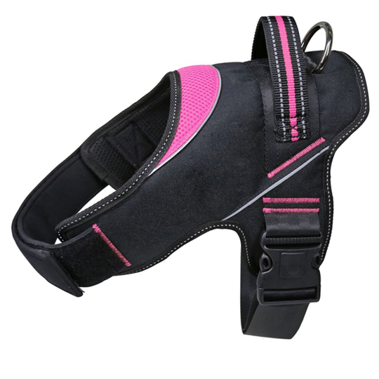 (Medium - 28-40kg, Black/Pink) Lazy Bones Dog Harness With Safety Buckle, Assorted Colours