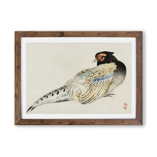 'Perched Parrot' - Picture Frame Painting Print on Paper