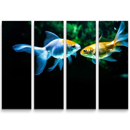 Goldfish in an Aquarium Photographic Print Multi-Piece Image on Canvas