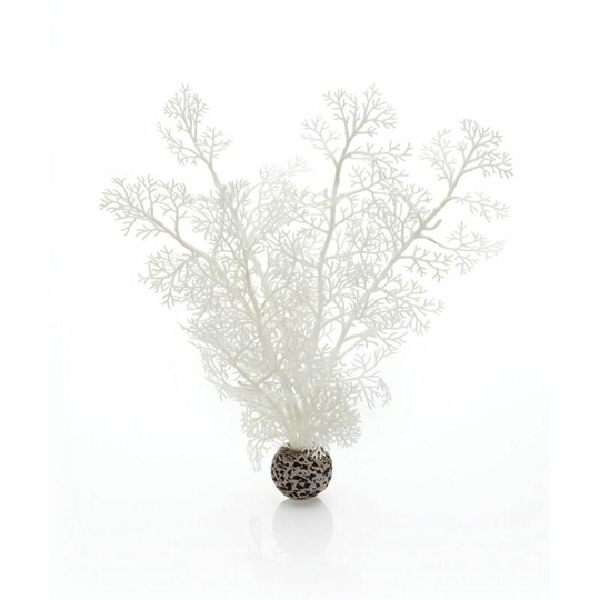 Sea Fan, Medium, White - Biorb