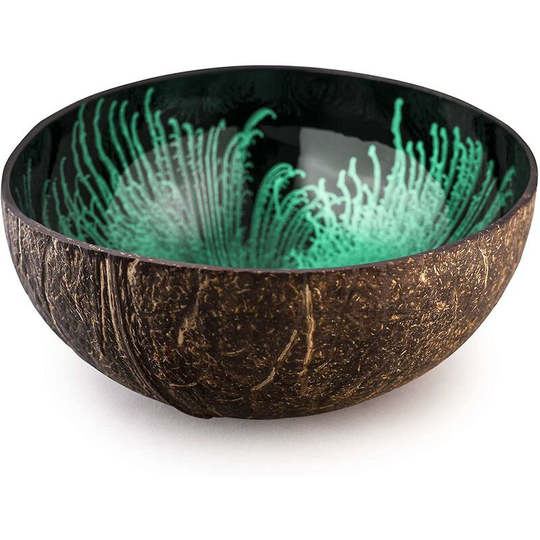 Splash Decorative Bowl Polished Key Rack Tray Coconut Shell Bowl - Aespa