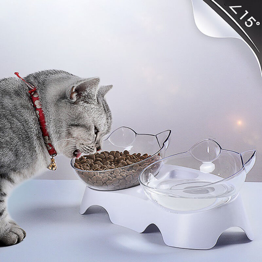 Deckon - Double Cat Bowl, Double Cat Bowl Oblique Transparent Double Bowl, Inclined Neck Guard Cat Food Bowl Non-Ceramic Pet Bowl, Cat Bowl Dog Rice