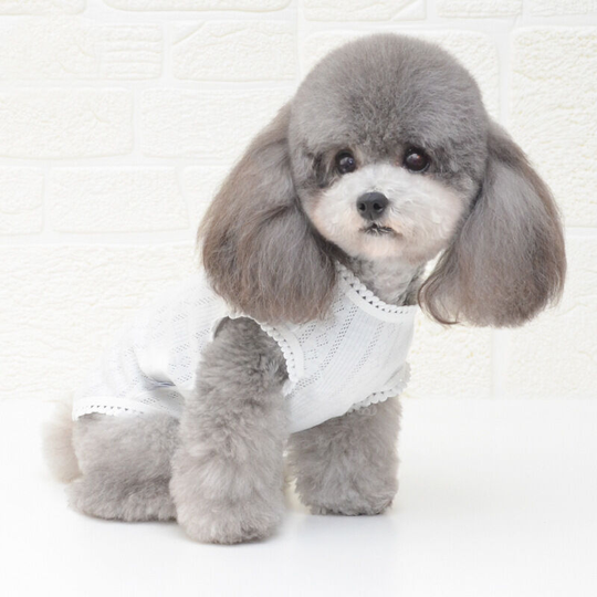 Benobby Kids - Pet undershirt puppy undershirt dog bottoming shirt undershirt kitten clothes Teddy Boomerang clothes m (chest 35', neck 28', back 25'