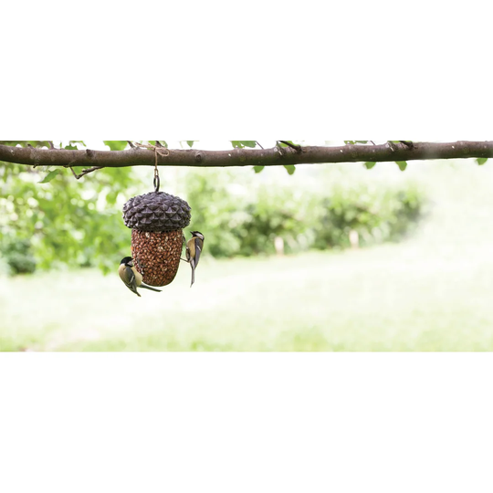 Nieto Tube Bird Feeder