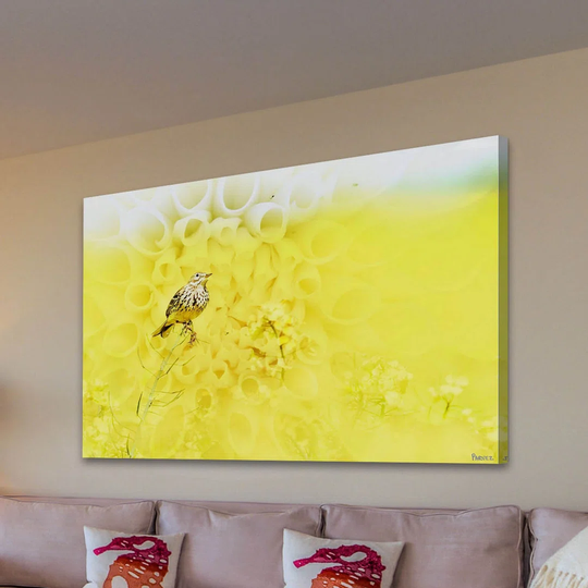 Perch Graphic Art Wrapped on Canvas