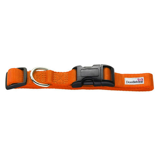 (Large, Orange) Doodlebone Bold Nylon Dog Collar