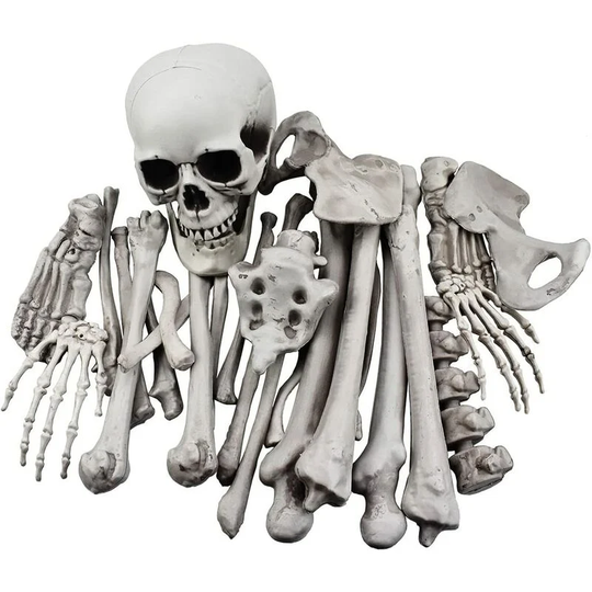 Sun Flowergb - 28 Skeleton bones and skull for halloween decoration or spooky graveyard decoration