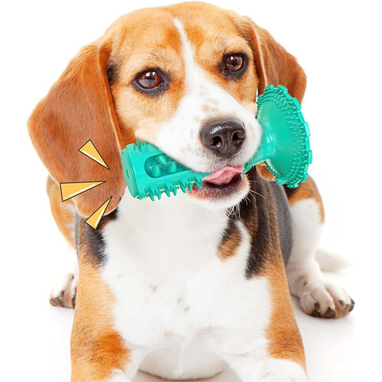 Modou - Dog Chew Toys for Small Medium Breed Aggressive Chewers with Floating Water Treat Dispensing Squeak Toys Indian Toothbrush Teeth Cleaning Toy