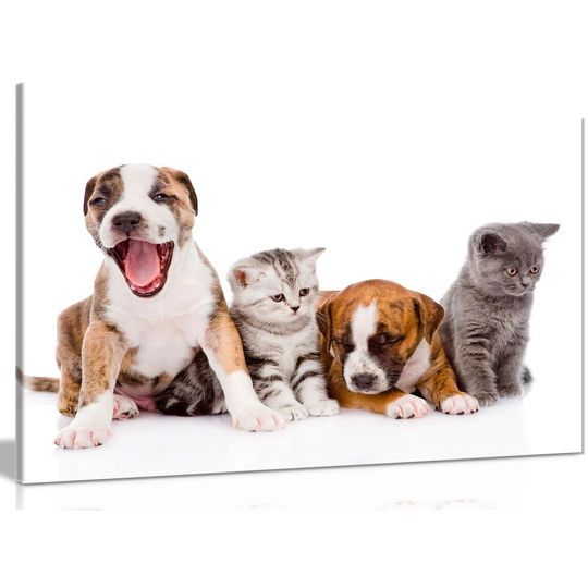 Puppies And Kittens Nursery Canvas Wall Art Picture Print