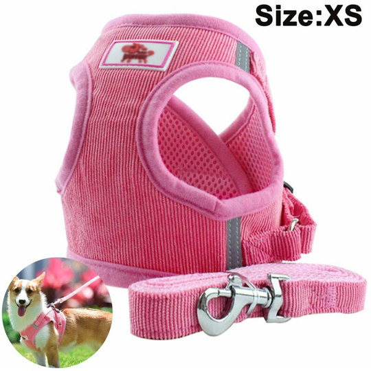 Devenirriche - Dog Harness with Leash for Dogs, Soft Mesh Chest Harness for Medium and Small Dogs / Cats, Adjustable Reflective Breathable Puppy