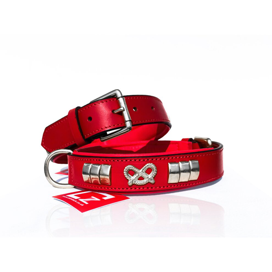 (Red) STAFFORDSHIRE LEATHER DOG COLLAR FITTED WITH BRASS (CHROME PLATED) HARDWARE & STAFFY KNOT