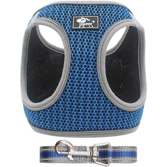 LangRay Adjustable Harness Vest Padded Reflective Soft Breathable Comfortable Leash for Small Dogs Puppy MZ083 (XS, Blue)