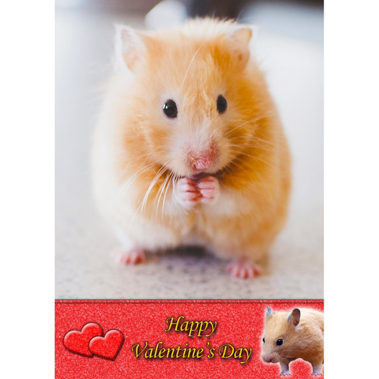 Hamster Valentine's Day Greeting Card 8"x5.5"
