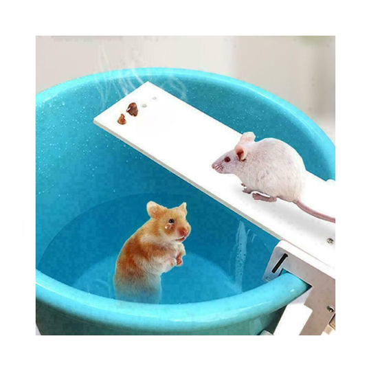 Mouse Rat Trap Catch Walk The Plank Humane Bucket