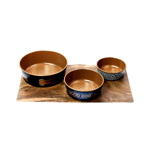 Colbie 3 Piece Pet Bowl Set