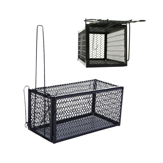 (Single Cage) Rat Mouse Trap Catcher Humane Live Animal Pest Rodent Mice Vermin Bait Cage UK