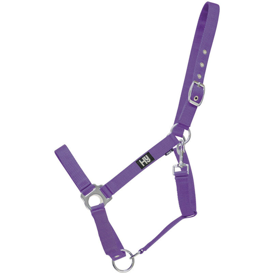 Hy Economy Plus Head Collar (Full) (Purple) - Purple