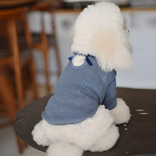 Pet jacquard sweater spring and summer Korean version of the dog cat small dog pet stretch bottoming clothes two feet clothes spring m (chest 38',