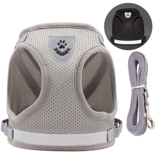 Perle Rare - Cat Harness, Cat Harness, Leash Cat Harness, Cat Harness, Cat Vest with Leash, Adjustable Harness for Small Cats and Dogs, Escape Proof