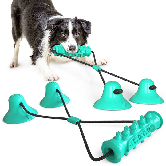 Pet toys double suction cup drawing rope grinding teeth wear-resistant teeth dog dog hair toys grinding dog toys