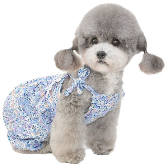 Fruit print suspenders pumpkin pants - blue M, Teddy Bichon Pomeranian Maltese clothes thin anti-soiling pumpkin pants for puppy girls and boys, soft