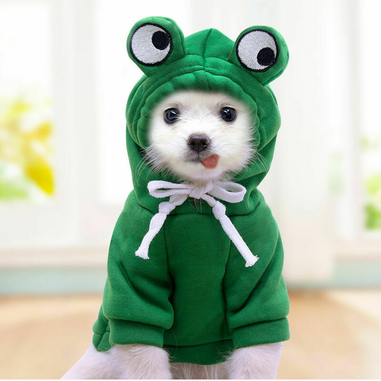 Halloween Dog Costume - Pet Clothes - Funny Dog Cat Frog Costumes, Pet Halloween Christmas Cosplay Dress, Pet Costume(L)