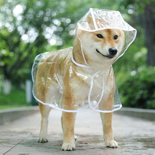 Waterproof coat for small dogs and cats, with hood, adjustable, pvc, transparent, and ultra-light
