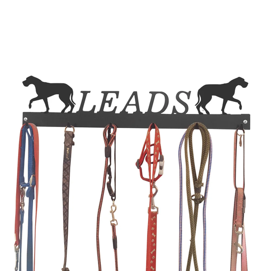 Alphonsine Wall Mounted Coat Rack