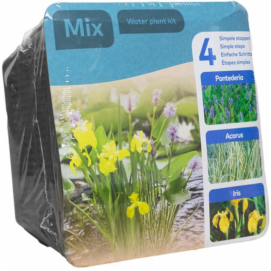 Moerings - Complete Waterplants Pond Plant Kit - Trio Mix (Acorus, Yellow Iris, Pontederia)