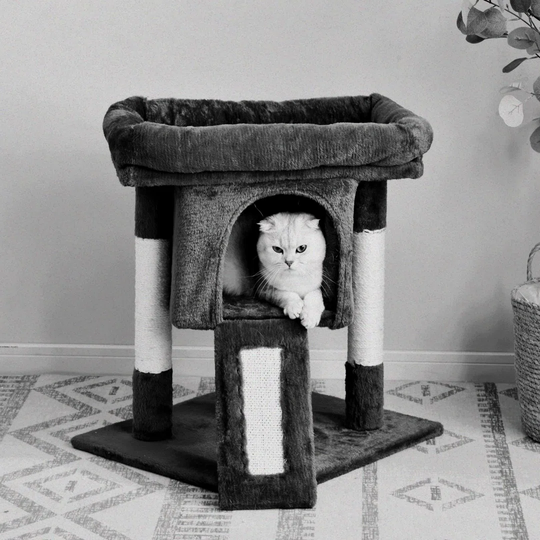 Marquand Activity Perch