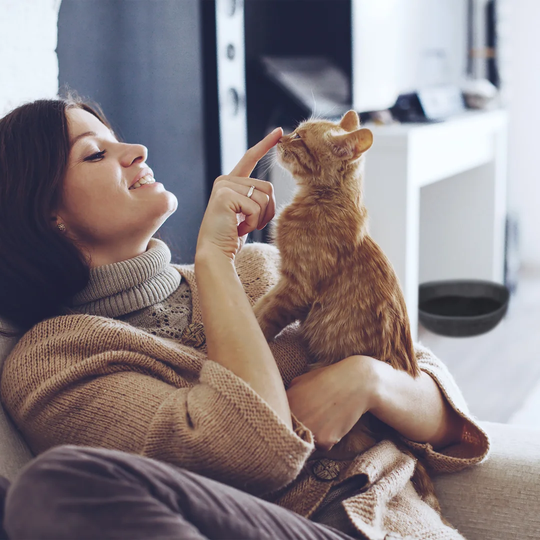 Natalie Round Cat Bed