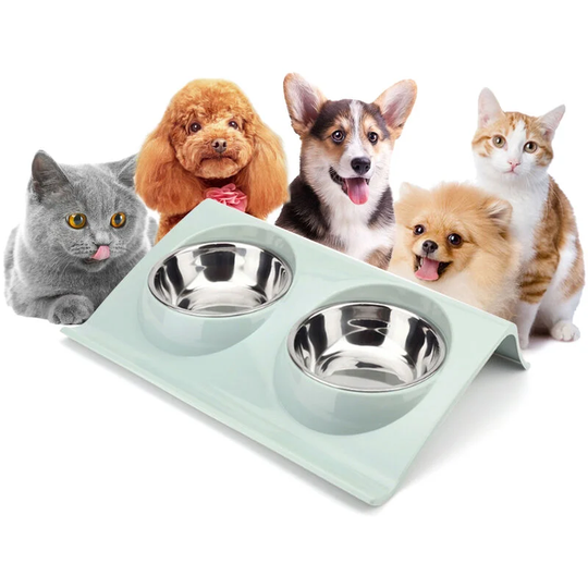 Lifcausal - Double Dog Cat Bowls Stainless Steel Pet Bowls with No-Spill Bottom Food & Water Feeder Raised Bowls for Cats Medium and Small Dogs