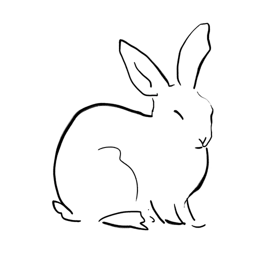 Contour Bunny - Wrapped Canvas Painting