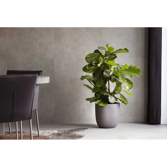 Capi Egg Planter "Urban Smooth" Dark Grey