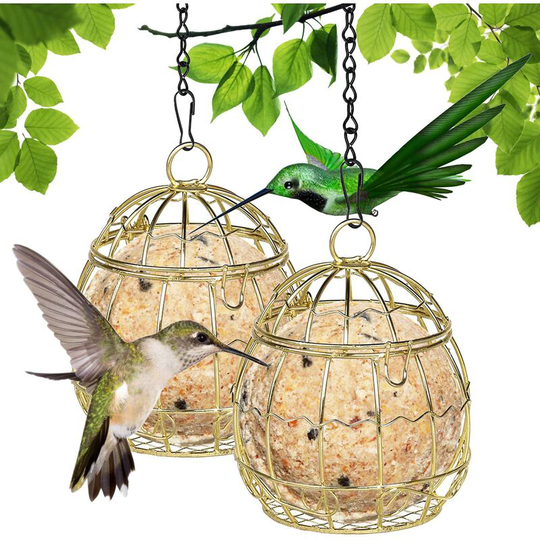 Wild Bird Feeder 2 Balls Hanging Bird Feeder for Small Wild Birds Metal Fat Ball Bird Feeders for Outdoor Indoor Use - No Hooks