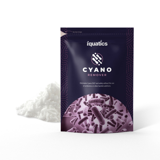 iQuatics Cyano Remover 75G Cyanobacteria Remover Red Slime Algae Marine Aquarium Reef Safe