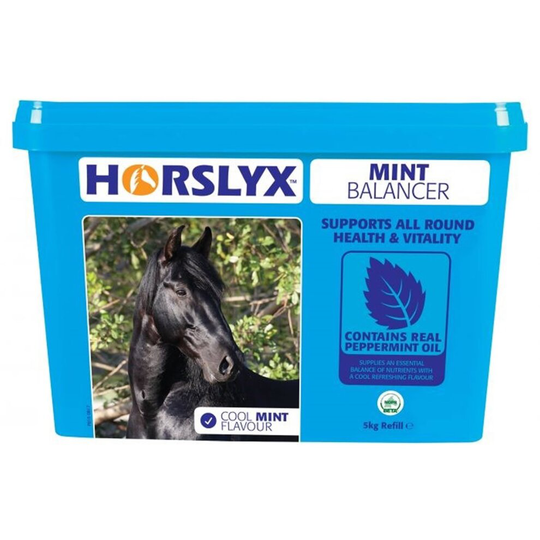 Horslyx Mint Balancer Mineral Lick