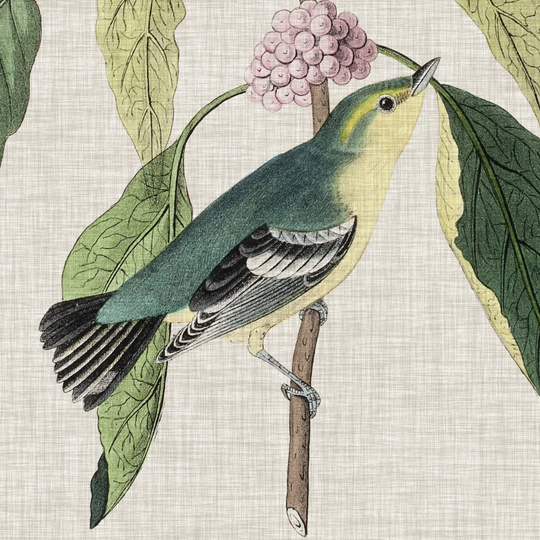 Avian Crop IV by John Audubon - Wrapped Canvas Art Prints