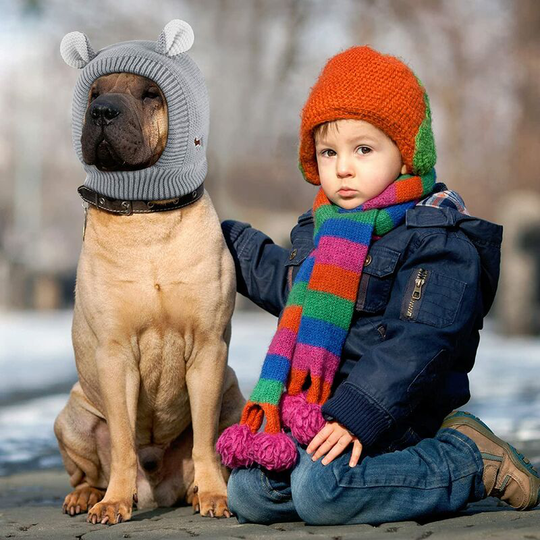 Knitted Dog Hats Pet Quiet Ears Warm Dog Ear Cover Noise Protection Dog Ear Muffs Dog Winter Hat Dog Snood Pet Head Wrap Bunny Costume for Medium to