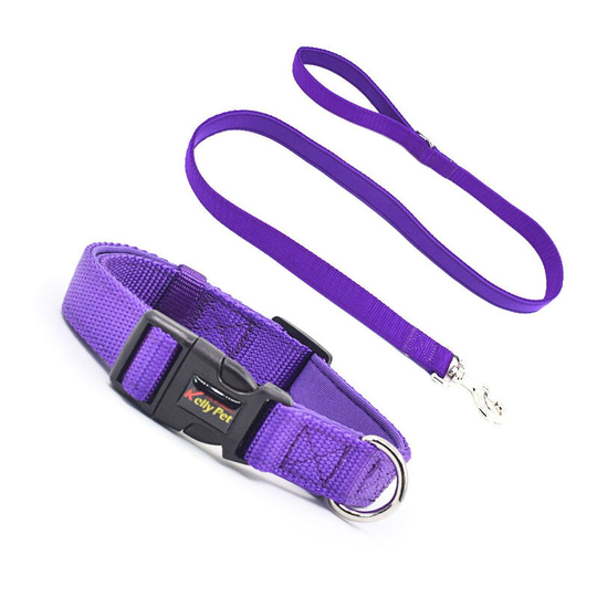 Adjustable Nylon Dog Collar with Soft Neoprene Padding for Puppies Small Sized Dogs Neck 30-47cm Purple