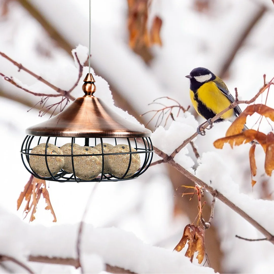 Bittner Suet Bird Feeder
