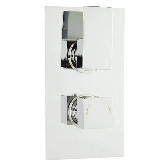 Vibe Double Concealed Thermostatic Shower Valve