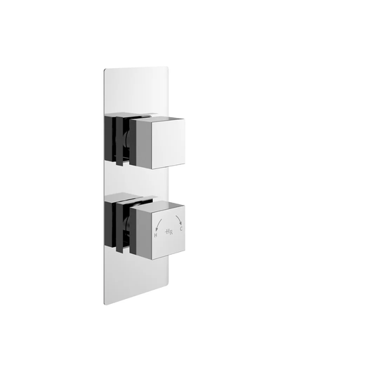 Double Concealed Shower Valve