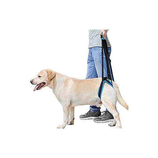 Thsinde - Dog Lift Harness Dog Support Sling Aid Mobility with Handle to Lift Pets Front Rear Legs for Senior Dog Weak Legs Surgery Rehabilitation