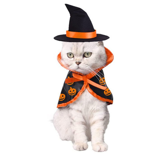 FVO - Kitten Halloween Costume, Halloween Cat Clothes - Cosplay Vampire Costume for Small Dogs Holiday Clothes for Black Night Bloody Party (Cape and