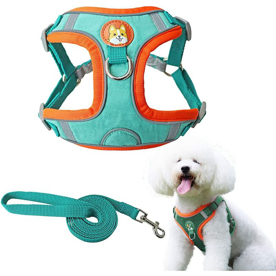 Perle Rare - Dog Harness Adjustable Walking Harness Breathable Soft Padded Reflective Chest Harness and Vest for Small Medium Dogs Cat (l, Lake Blue)