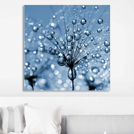 Dandelion Flower Close-up - Wrapped Canvas Photograph