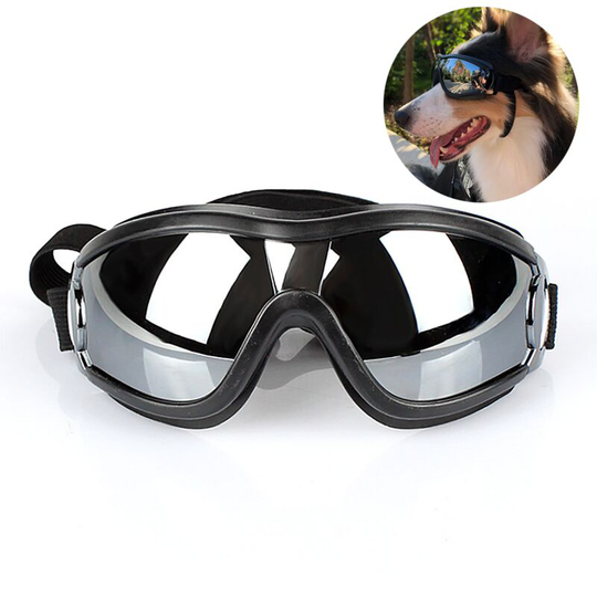 Pet Glasses Dog Glasses Glasses Black Dog Black Size
